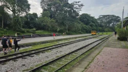 bukit timah railway station 25