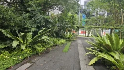 bukit timah railway station 3