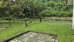 bukit timah railway station 38