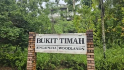 bukit timah railway station 39