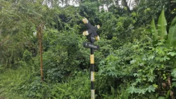 bukit timah railway station 41