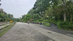 bukit timah railway station 43