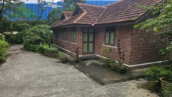 bukit timah railway station 51