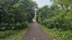 bukit timah truss bridge 1