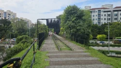 bukit timah truss bridge 10