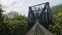 bukit timah truss bridge 7