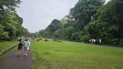 rail corridor (bukit timah) 1