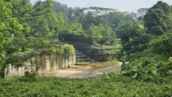 rail corridor (bukit timah) 11