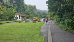 rail corridor (bukit timah) 13