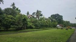 rail corridor (bukit timah) 14