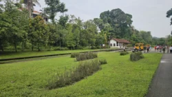 rail corridor (bukit timah) 15