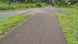rail corridor (bukit timah) 3