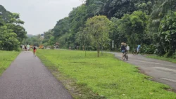 rail corridor (bukit timah) 4