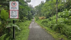 rail corridor (bukit timah) 6