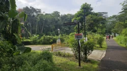 rail corridor (bukit timah) 7