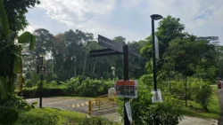 rail corridor (bukit timah) 8