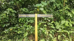 hume avenue 3