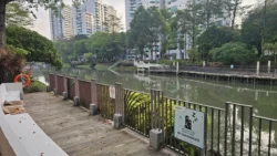 kallang park connector 5