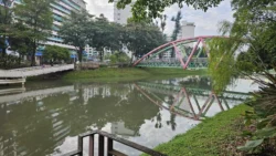 kallang park connector 6