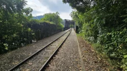 opp rail mail 5