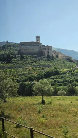 Assisi basilica di san francesco in assisi (umbria) (6)