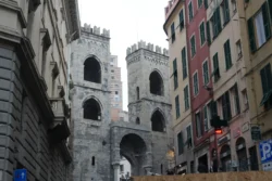 Genoa genova dslr (7)