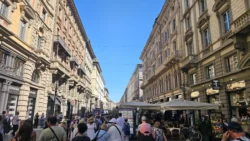 Milan milan (5)