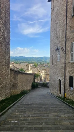 palazzo dei consoli (gubbio) (110)