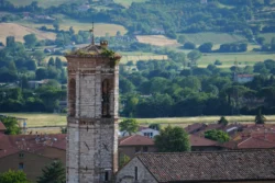 palazzo dei consoli (gubbio) dslr (33)