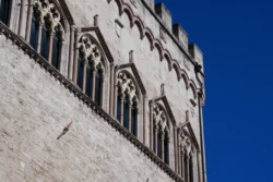 palazzo dei priori dslr (13)