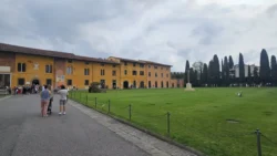 Pisa pisa (1)