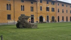 Pisa pisa (2)