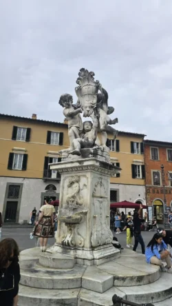 Pisa pisa (5)
