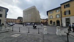 Pisa pisa (9)