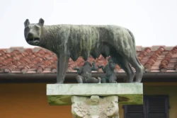 Pisa pisa dslr (7)