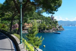 Portofino portofino dslr (15)