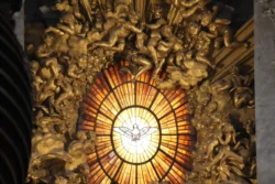 saint peters basilica dslr (34)
