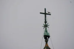 st. peter square dslr (29)
