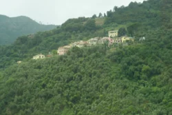 Cinque Terre vernazza, cinque terre dslr (9)