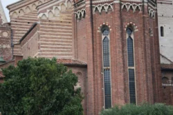Verona verona dslr (3)