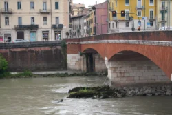 Verona verona dslr (7)