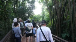 Lim Chu Kang Nature Park (Cashin House) cashin house dslr (19)