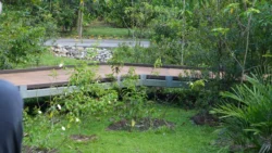 Lim Chu Kang Nature Park (Cashin House) cashin house dslr (25)