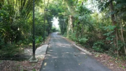 Lim Chu Kang Nature Park (Cashin House) cashin house dslr (31)