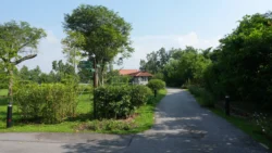 Lim Chu Kang Nature Park (Cashin House) cashin house dslr (40)