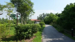 Lim Chu Kang Nature Park (Cashin House) cashin house dslr (42)
