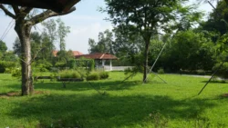 Lim Chu Kang Nature Park (Cashin House) cashin house dslr (47)