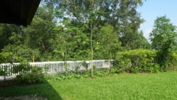 Lim Chu Kang Nature Park (Cashin House) cashin house dslr (52)
