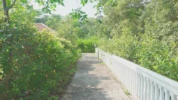 Lim Chu Kang Nature Park (Cashin House) cashin house dslr (59)