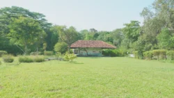Lim Chu Kang Nature Park (Cashin House) cashin house dslr (60)